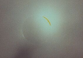 Bild 25